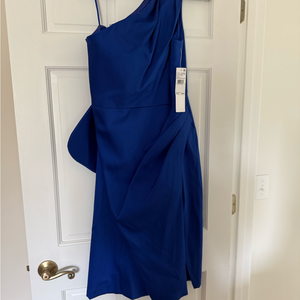 2 Nwt Elegant Women's Dresses